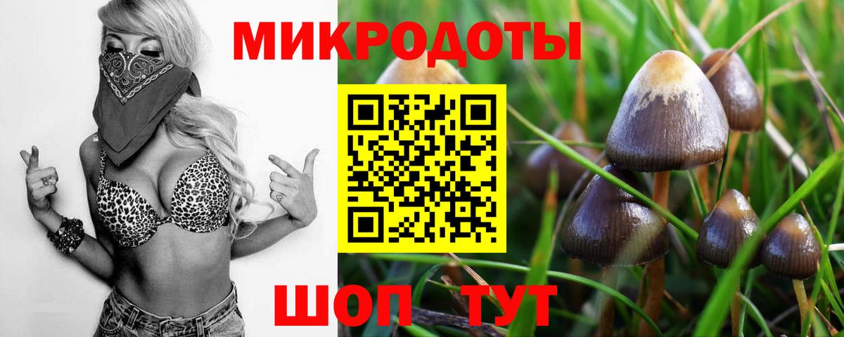 Псилоцибиновые грибы прущие грибы Стрежевой